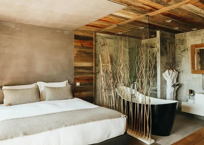 Les Grands Montets & 4*